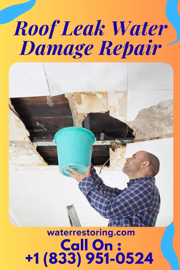 Roof Leak Water Damage Repair in Sunday Lake, WA